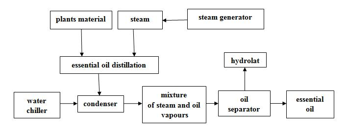 oil-2